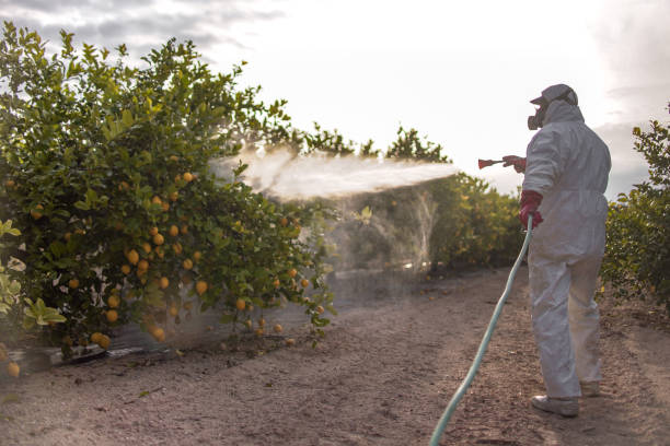 Best Best Pest Control Companies  in Bensley, VA